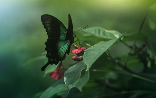 IMG-885f74c4844bc6ea5b2be99cf0e8861f-V