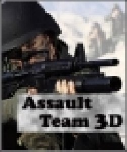 Assault Team 3D