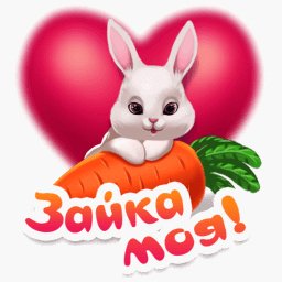 Зайка моя