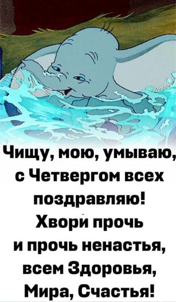 IMG-20250417-WA0006