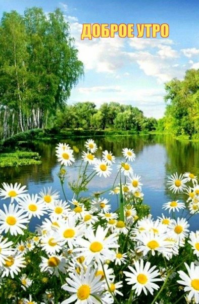 file_90932935