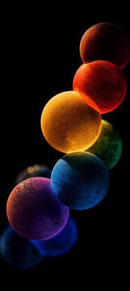 adapted 1080x2408 1775232909