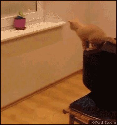 tumblr lzos9oglvv1qdlh1io1 400