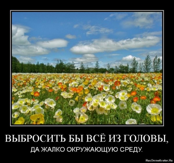 Красота всегда рядом, только не все это замечают...