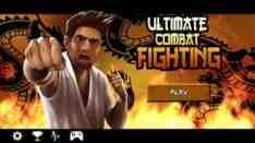 Ultimate Combat FightingВерсия: 1.11