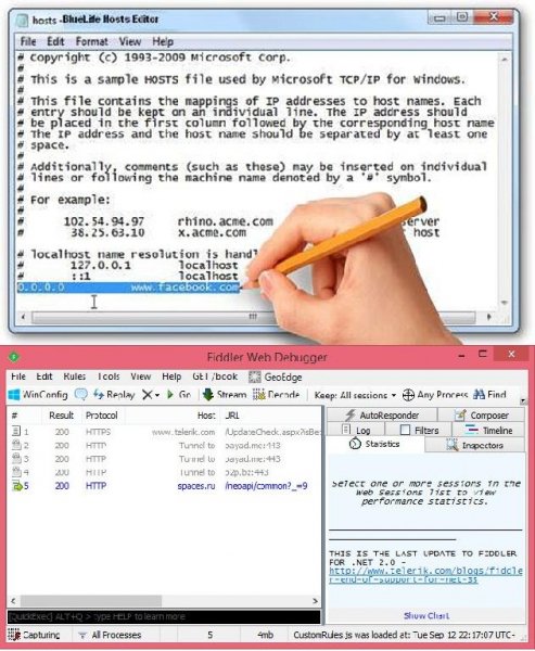 BlueLife-Hosts-Editor