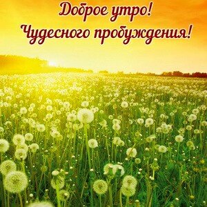 IMG 20181110 192739 427