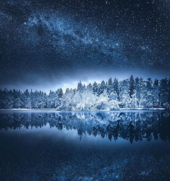 Beauty Of The North
