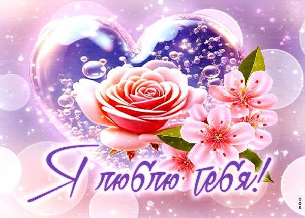IMG 20240429 161914 112
