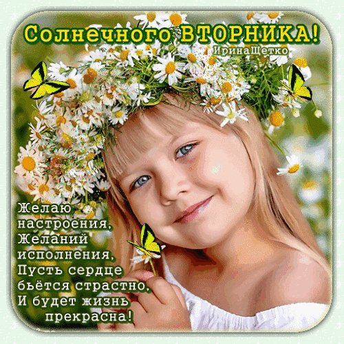 Анимированная открытка солнечного вторника