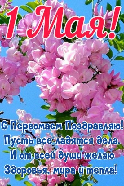 1 мая
