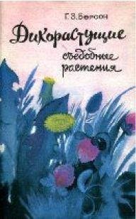 Дикорастущие съедобные растения