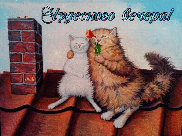чудесного вечера 000311