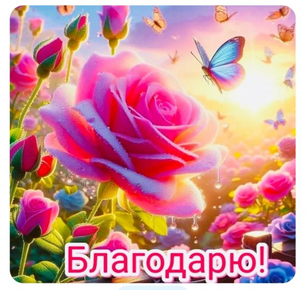 file_101123507