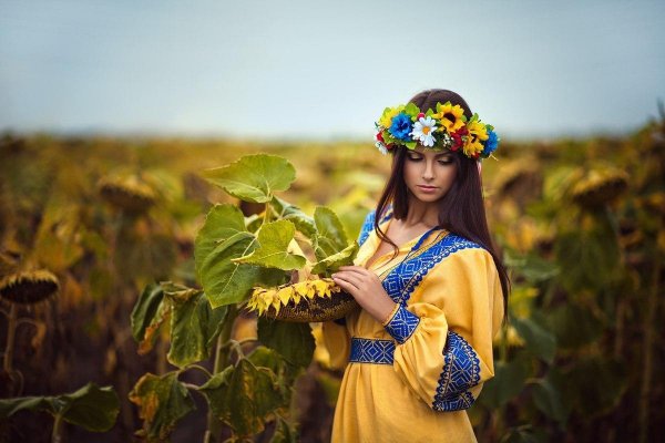 8beccc88a62c63c6b0533b61c555baf3 53d37d496d8fe