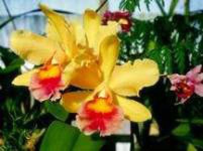 file_86323657