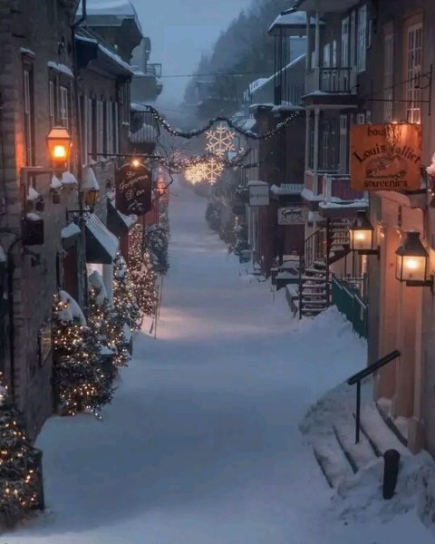 FB IMG 16687287881526691