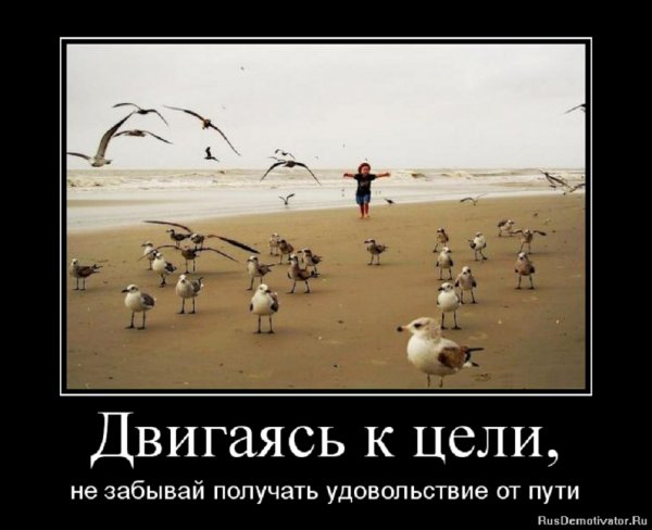 Двигаясь к цели