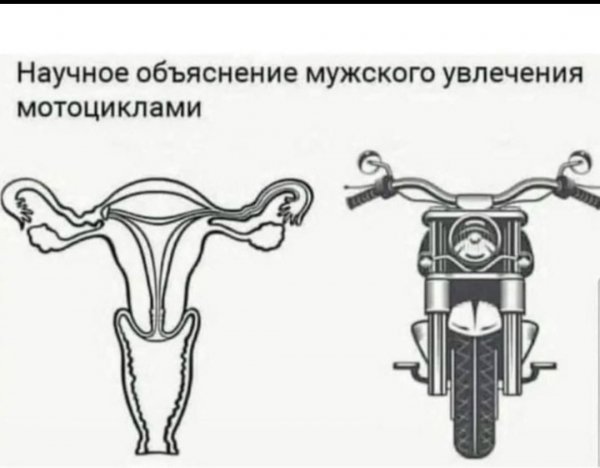Похоже