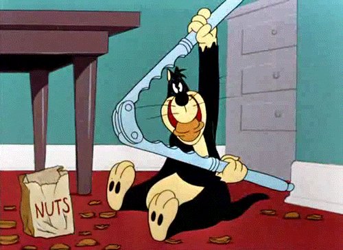 Рационализатор