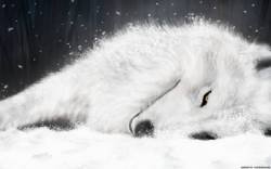 file_46859791