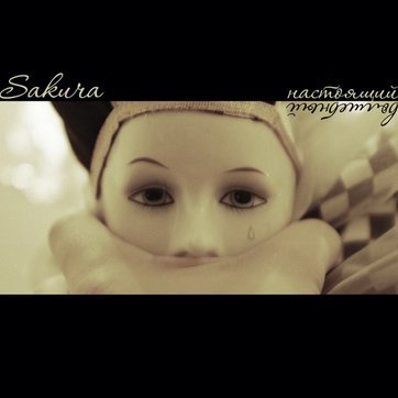 Sakura - Письмо-исповедь ответа не требует