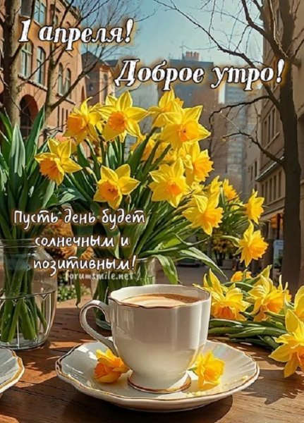 Доброе утро! Пусть день будет солнечным и позитивным