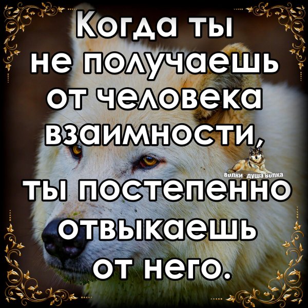 IMG 20200502 135958