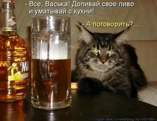 file_103189509