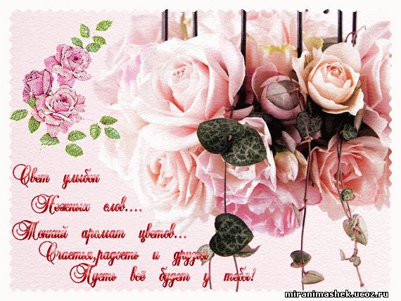 свет улыбок