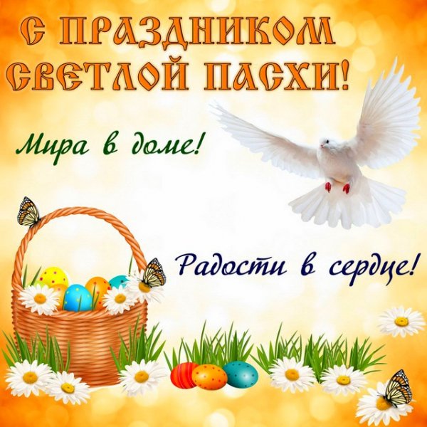 file_93328545