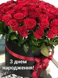 images (23)