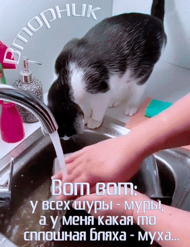 Анимированная открытка вторник вот вот