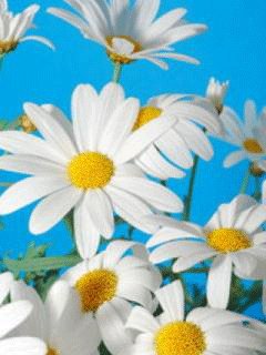 file_61969371