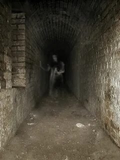 i (1)