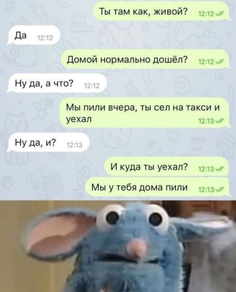Юмор приколы (23)