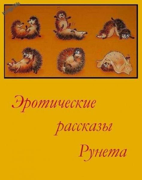Eroticheskie-rasskazy-Runeta-Tom-1
