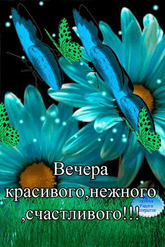 вечера красивого 000310