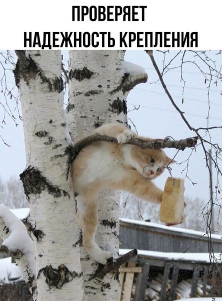 FB IMG 1769880523906