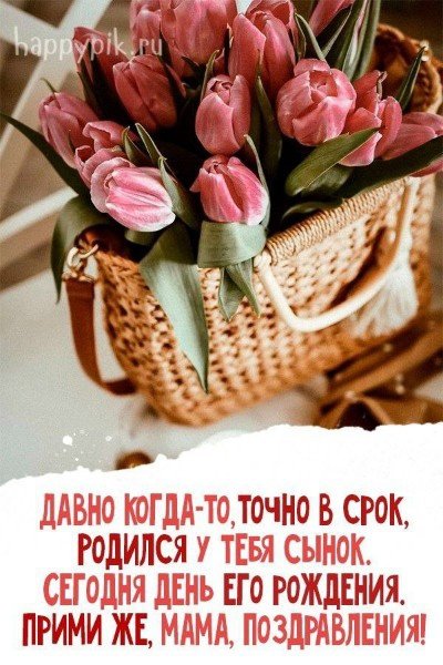 file_94801319