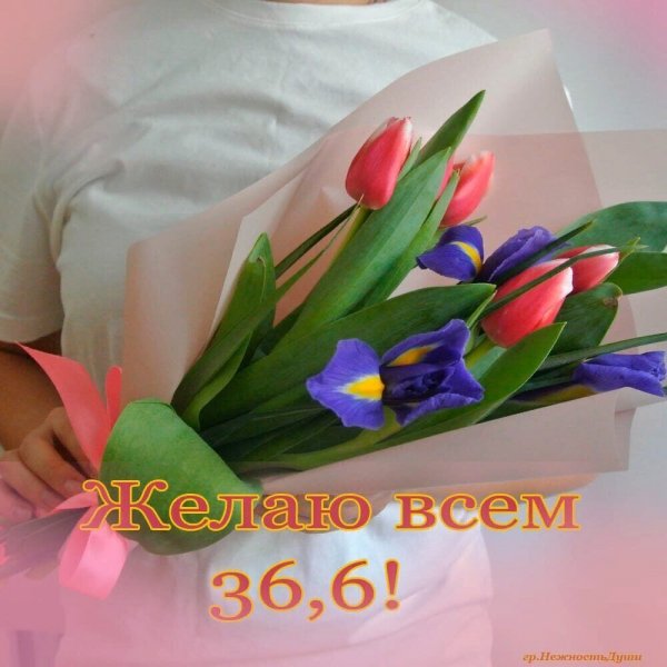 my9zuDMPetc