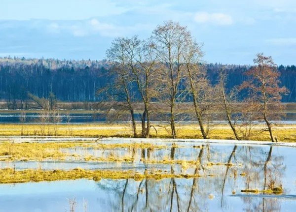 Весеннее половодье..