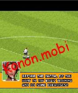Real Football 2007 3D MOT 240x320 V3XX