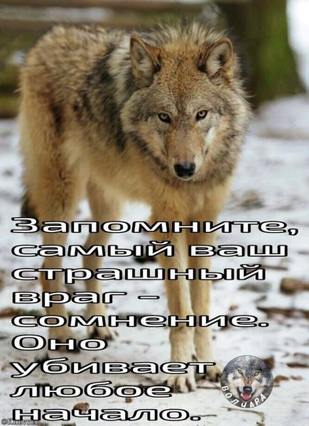 FB IMG 16375336749132433