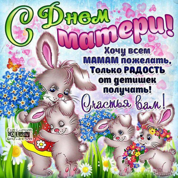 IMG-20221127-WA0005