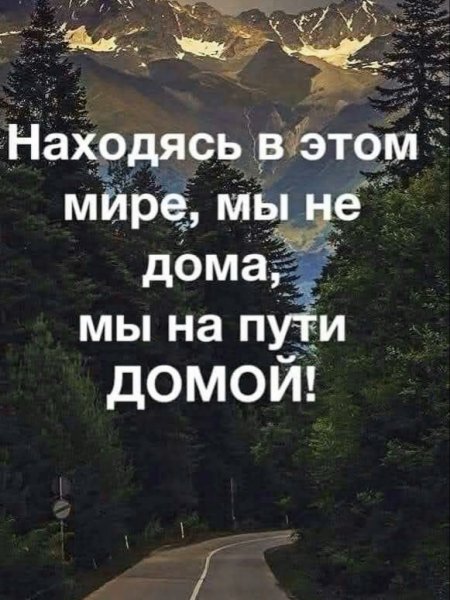 file_101755822