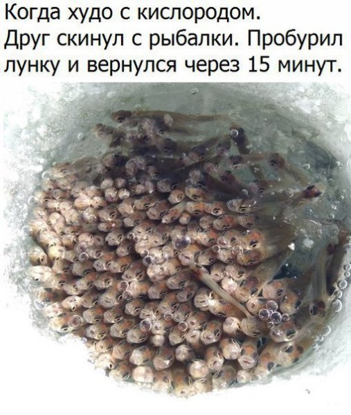 p.600.600.0