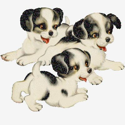 8f5040daa1437e266763f28acba49db3