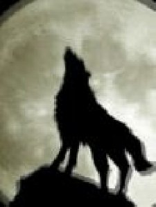 Volk