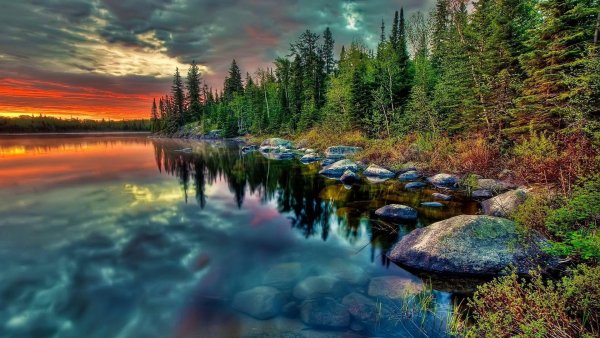3 (887) (Copy) (Copy)